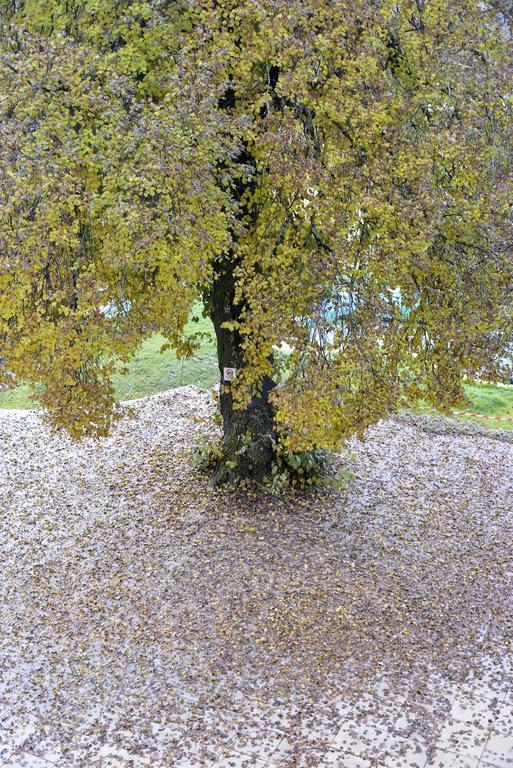 L'Escale En Ubaye Bed & Breakfast Saint-Pons  Bagian luar foto