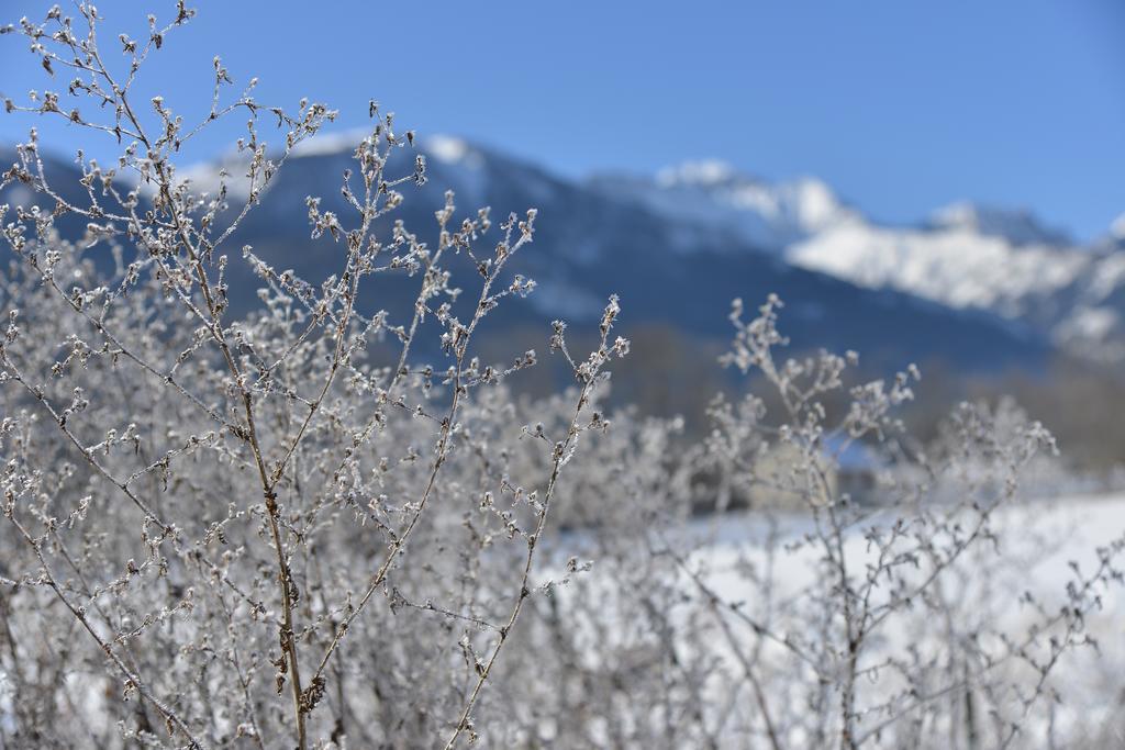 L'Escale En Ubaye Bed & Breakfast Saint-Pons  Ruang foto