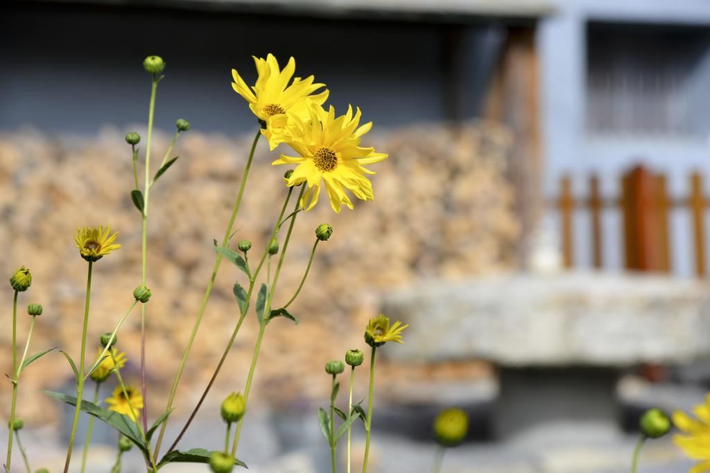 L'Escale En Ubaye Bed & Breakfast Saint-Pons  Bagian luar foto